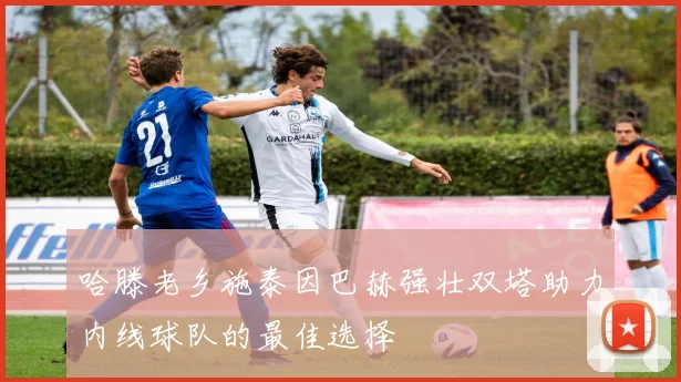 哈滕老乡施泰因巴赫强壮双塔助力内线球队的最佳选择